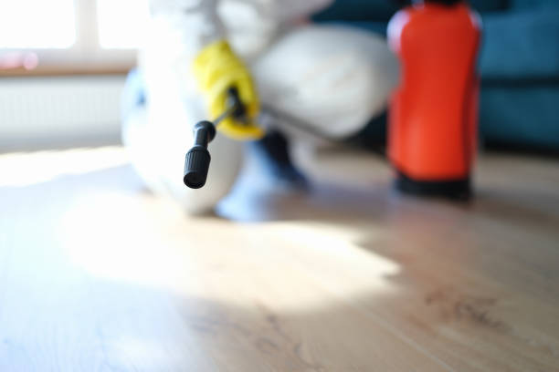 Best Water Damage & Mold Remediation  in Richfield Springs, NY
